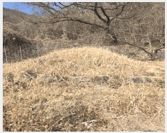  2025Ÿ10146 泲 â â ϸ ̸ 139     (1)