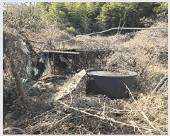  2025Ÿ10146 泲 â â ϸ ̸ 139     (1)