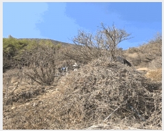  2025Ÿ10146 泲 â â ϸ ̸ 139     (1)