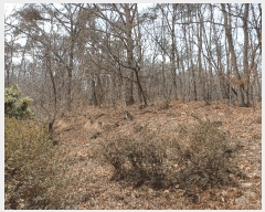  2025Ÿ��11131 �泲 ���ؽ� �󵿸� ��踮 ��337-9      ����(�Ӿ�)���