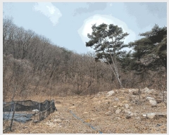  2025Ÿ��11131 �泲 ���ؽ� �󵿸� ��踮 ��337-9      ����(�Ӿ�)���