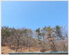  2025Ÿ��11131 �泲 ���ؽ� �󵿸� ��踮 ��337-9      ����(�Ӿ�)���