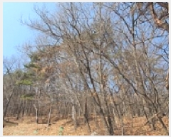  2025Ÿ��11131 �泲 ���ؽ� �󵿸� ��踮 ��337-9      ����(�Ӿ�)���