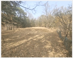  2025Ÿ��11221  �Ӿ߰��