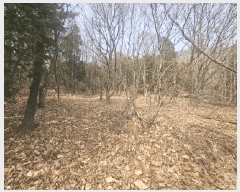  2025Ÿ��11221  �Ӿ߰��