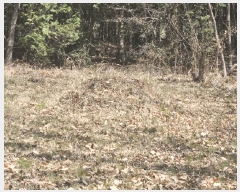  2025Ÿ��11221  �Ӿ߰��