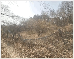  2025Ÿ��11221  �Ӿ߰��