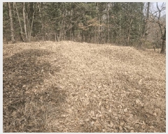  2025Ÿ��11221  �Ӿ߰��