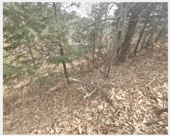  2025Ÿ��11221  �Ӿ߰��