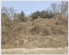  2025Ÿ��11221  �Ӿ߰��