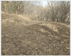  2025Ÿ��11221  �Ӿ߰��