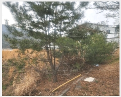  2025Ÿ��11275 �泲 ���ؽ� �󵿸� ������ 1606      ����(����)���