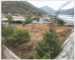  2025Ÿ��11275 �泲 ���ؽ� �󵿸� ������ 1606      ����(����)���