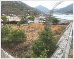  2025Ÿ��11275 �泲 ���ؽ� �󵿸� ������ 1606      ����(����)���