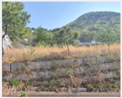  2025Ÿ��11275 �泲 ���ؽ� �󵿸� ������ 1606      ����(����)���