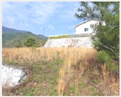  2025Ÿ��11275 �泲 ���ؽ� �󵿸� ������ 1606      ����(����)���