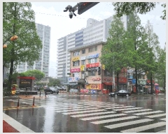  2025Ÿ��11310  ����Ʈ���