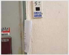  2025Ÿ��11400  �ټ���(����)���