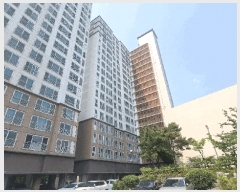  2025Ÿ��11500  ���ǽ��ڰ��