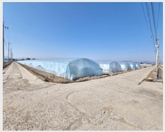  2025Ÿ��156  ����