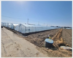  2025Ÿ��156  ����