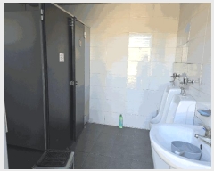  2025Ÿ��323  ������