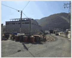  2025Ÿ��323  ������