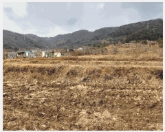  2025Ÿ��332 �泲 ���ؽ� ���̸� ���ϸ� 38-7      ����(��)���