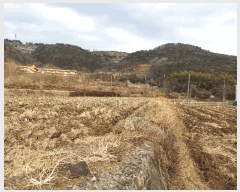  2025Ÿ��332 �泲 ���ؽ� ���̸� ���ϸ� 38-7      ����(��)���