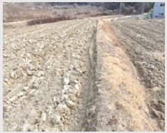  2025Ÿ��332 �泲 ���ؽ� ���̸� ���ϸ� 38-7      ����(��)���