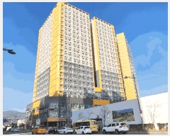  2025Ÿ343 泲 â ر  1347 ηξӸλ2 8819ȣ    ǽڰ