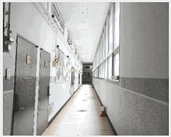  2025Ÿ343 泲 â ر  1347 ηξӸλ2 8819ȣ    ǽڰ