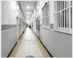  2025Ÿ343 泲 â ر  1347 ηξӸλ2 8819ȣ    ǽڰ