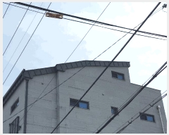  2025Ÿ��373  �ٸ����ð��