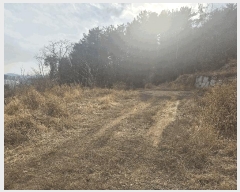  2025Ÿ��378  ����