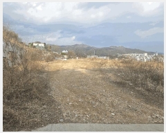  2025Ÿ��378  ����