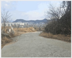  2025Ÿ��378  ����