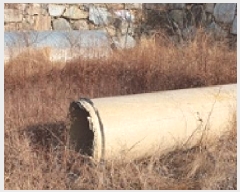  2025Ÿ��378  ����