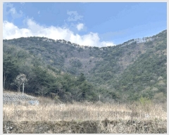  2025Ÿ405 泲 ؽ 󵿸 踮 61      (Ӿ)