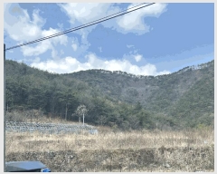  2025Ÿ405 泲 ؽ 󵿸 踮 61      (Ӿ)