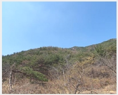  2025Ÿ405 泲 ؽ 󵿸 踮 61      (Ӿ)