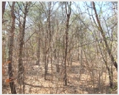  2025Ÿ405 泲 ؽ 󵿸 踮 61      (Ӿ)