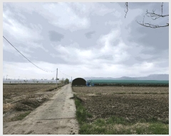  2025Ÿ��432 �泲 ���ؽ� ���ϵ� 867       ����(��1)���