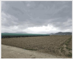  2025Ÿ��432 �泲 ���ؽ� ���ϵ� 867       ����(��1)���