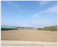  2025Ÿ��432 �泲 ���ؽ� ���ϵ� 867       ����(��1)���