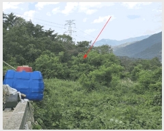  2025Ÿ��504  �Ӿ߰��