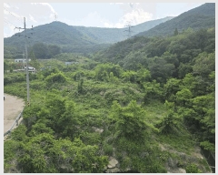  2025Ÿ��504  �Ӿ߰��