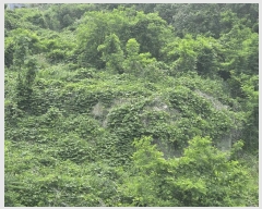  2025Ÿ��504  �Ӿ߰��