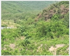  2025Ÿ��504  �Ӿ߰��