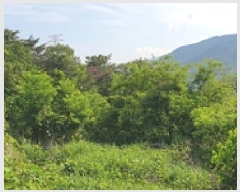  2025Ÿ��504  �Ӿ߰��